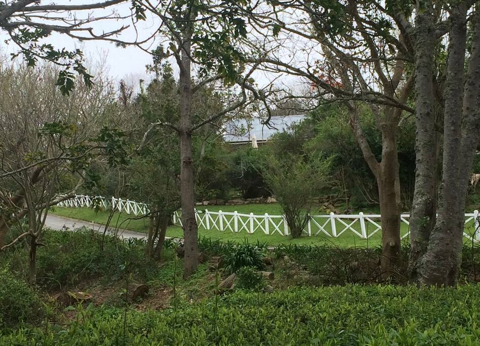 Beautiful, safe Belvidere Estate