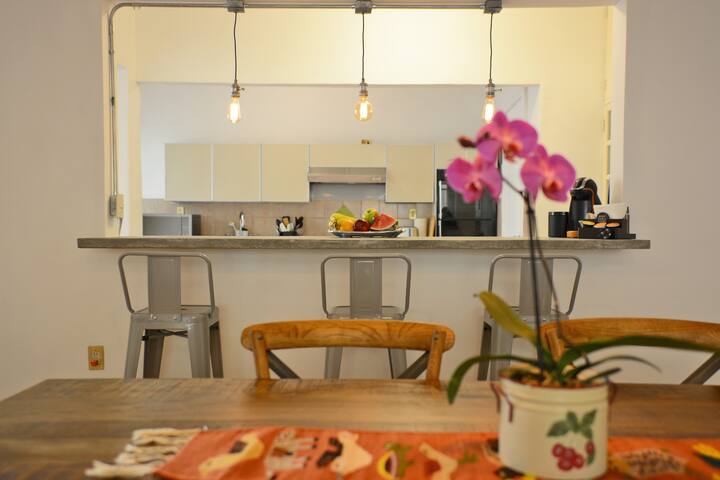 Hermoso grande, cómodo apartamento en Condesa gallery image 3