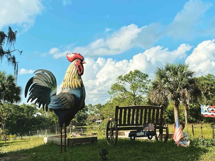 Clewiston Vacation Rentals & Homes Florida, United States Airbnb