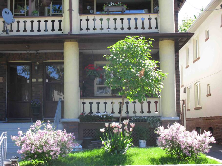 The building this Spring