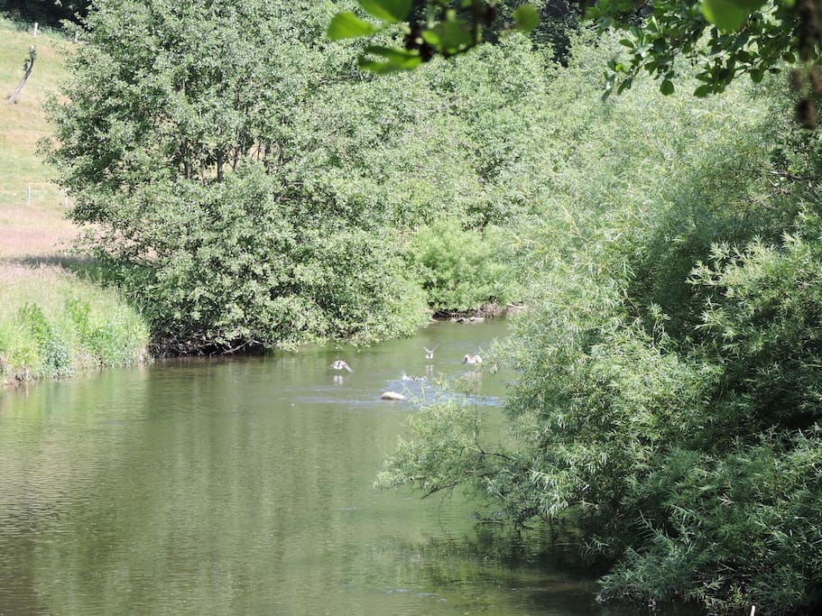 An der Kyll