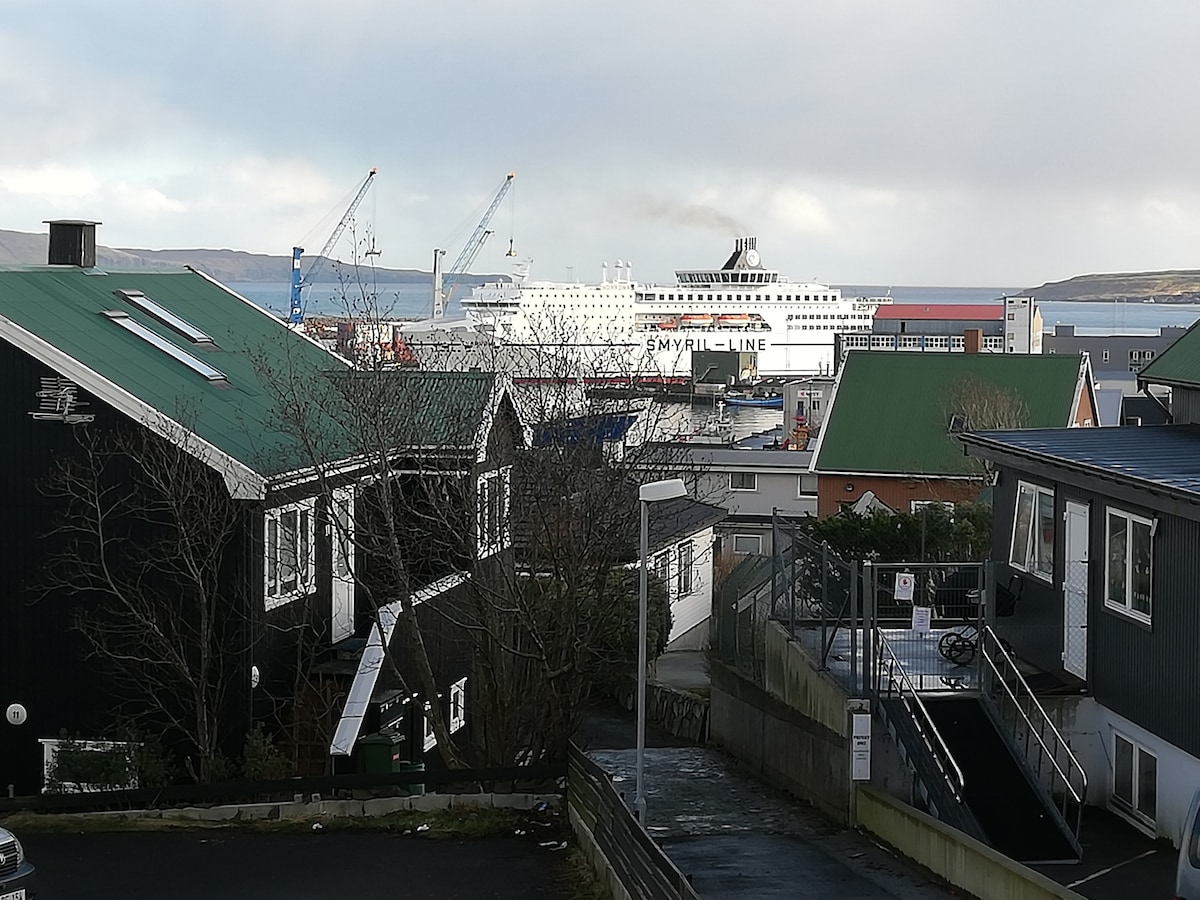 The image shows a view of the harbor, where a large ferry is docked. Surrounding buildings with various roof colors are visible, along with trees that frame the scene. The sky displays a mix of clouds and sunlight, hinting at the maritime environment.