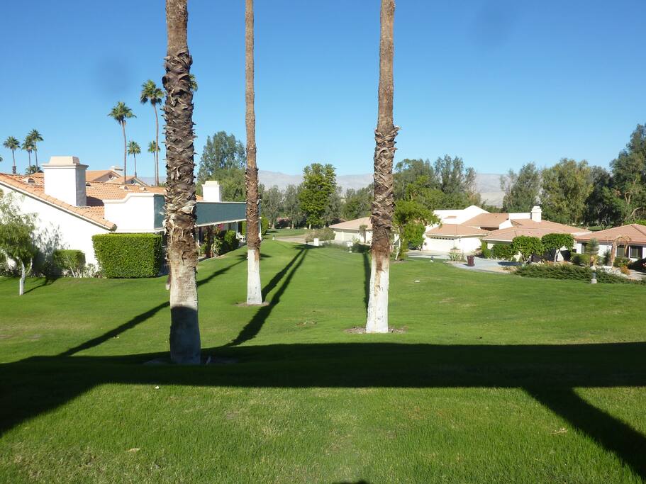 View from patio