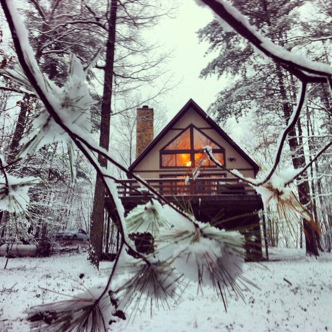 Photo from woodland view looking toward the back of the house