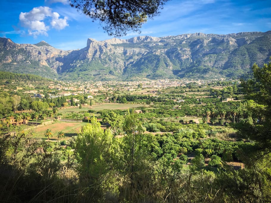 The valley of Sòller surrounded by the Tramuntana range, Son Sales area.