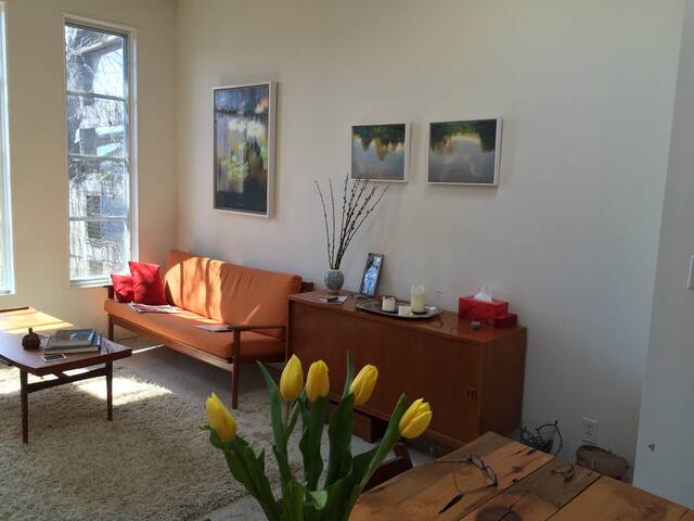 Fun and Bright House Queen West gallery image 3