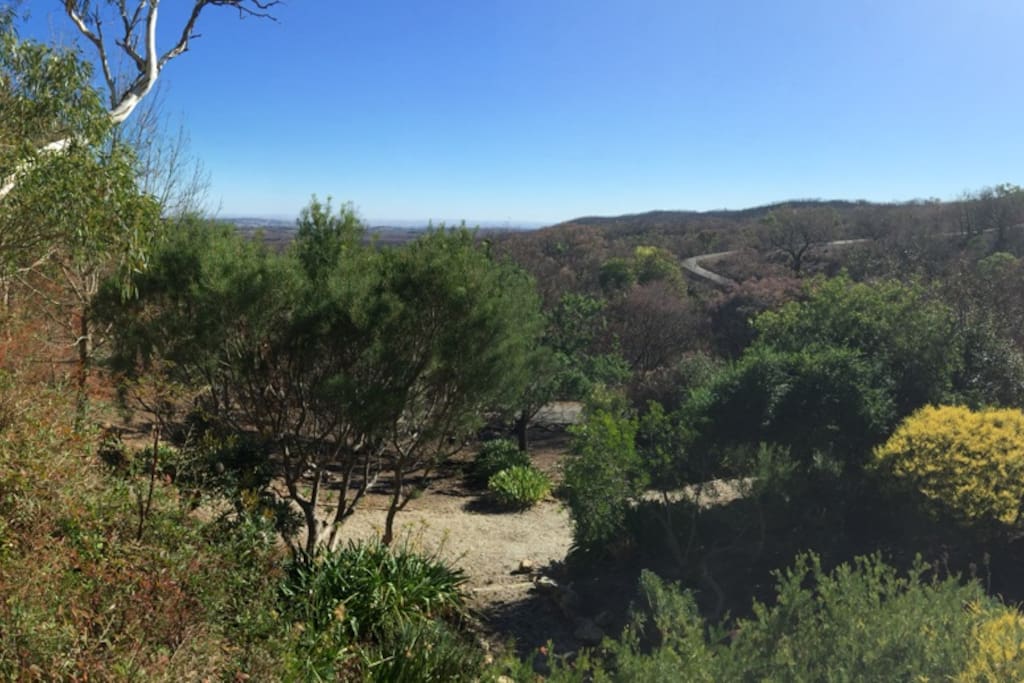 far reaching bush views