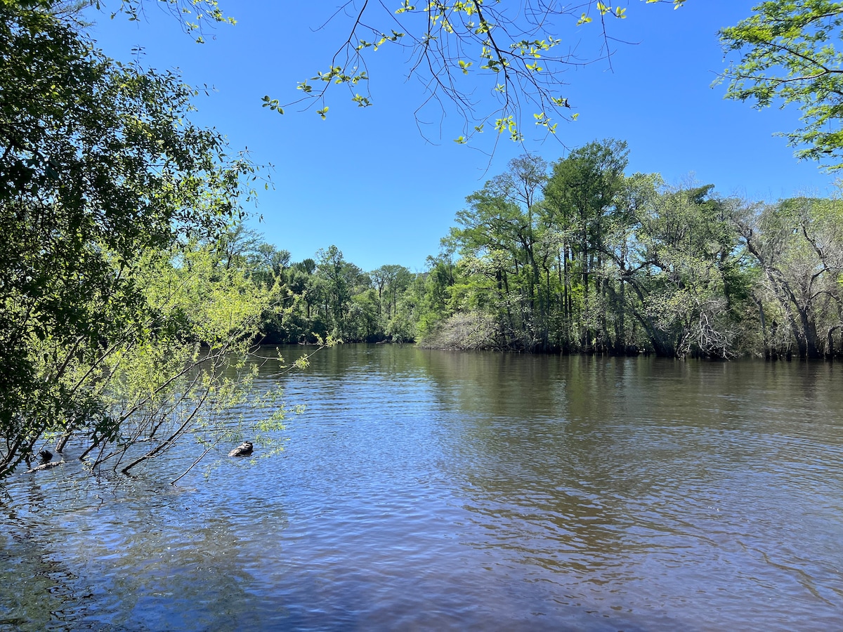 A serene view of the Chipola River is depicted, surrounded by lush green foliage and trees. The calm water reflects the clear blue sky, creating a peaceful atmosphere. Gentle ripples can be seen across the surface, enhancing the tranquil setting.