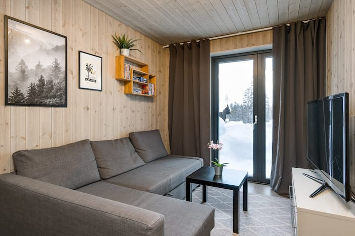 Dhomë ndenjjeje në BV me TV dhe divan.