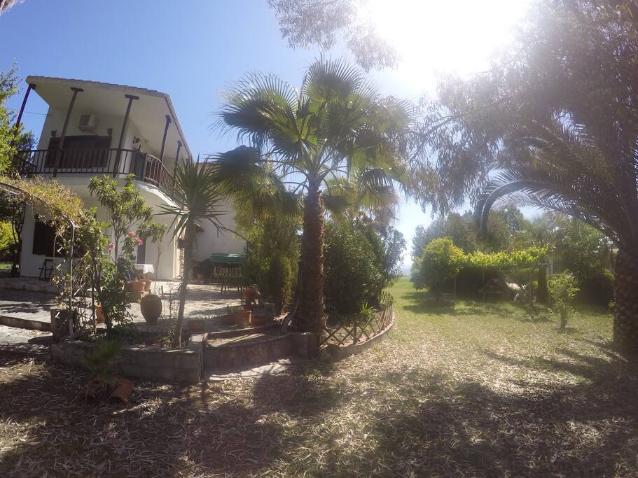 Cottage house by the sea!olive trees and beautiful trees and palms around the garden
