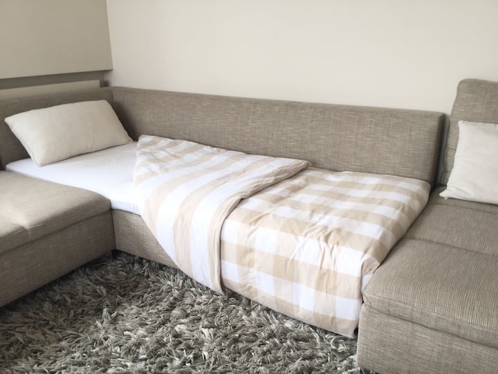 بالإضافة إلى ذلك، إمكانية استيعاب شخص خامس على الأريكة في غرفة المعيشة 