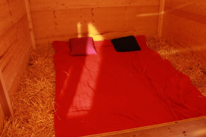 Schlafen wie der Geissenpeter - Barns for Rent in Aeschi bei Spiez, Bern,  Switzerland