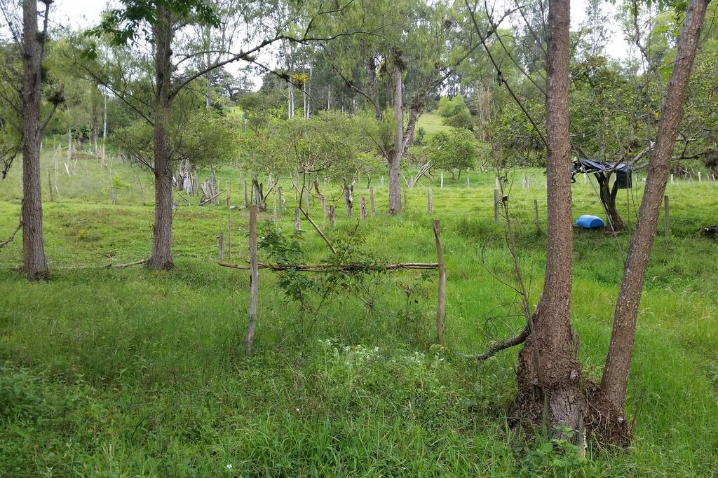 Zonas verdes para camping, si desean noches a la luz de la luna y las estrellas.
