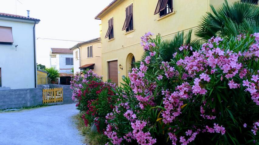 Casa Della Biancheria Navacchio.Top Collesalvetti Campervans Motorhomes Holiday Rentals Airbnb