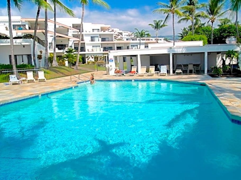 Main pool with barbecues and tables