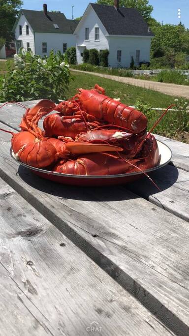 Buy fresh lobster at the nearby fisherman's co-op. Cooking utensils provided.