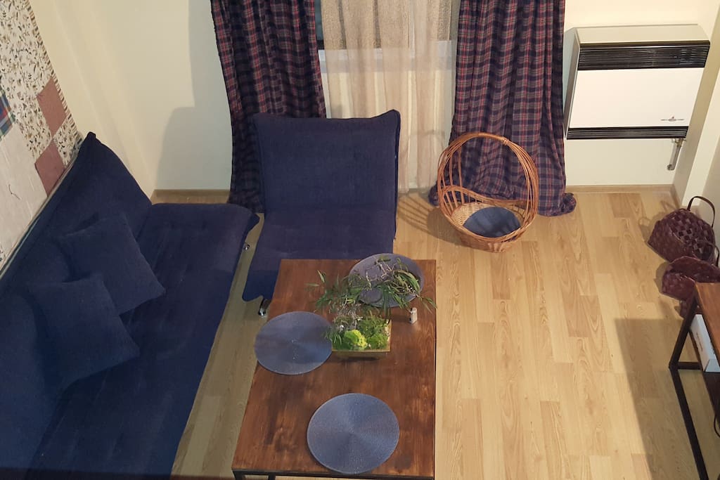 Sofa in the living room