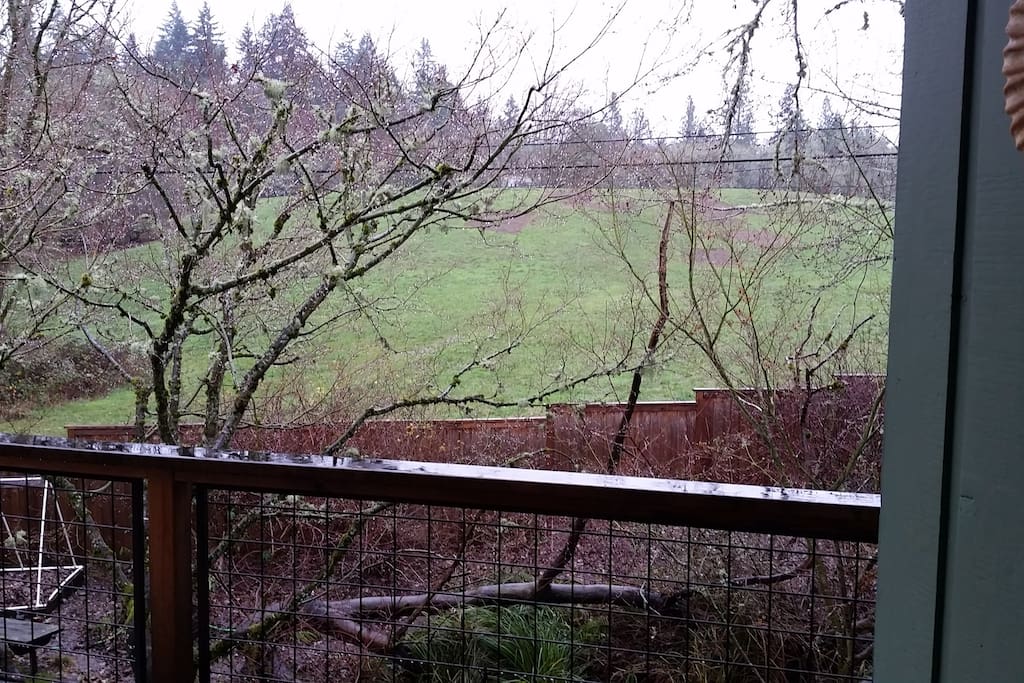 The park next to our home.