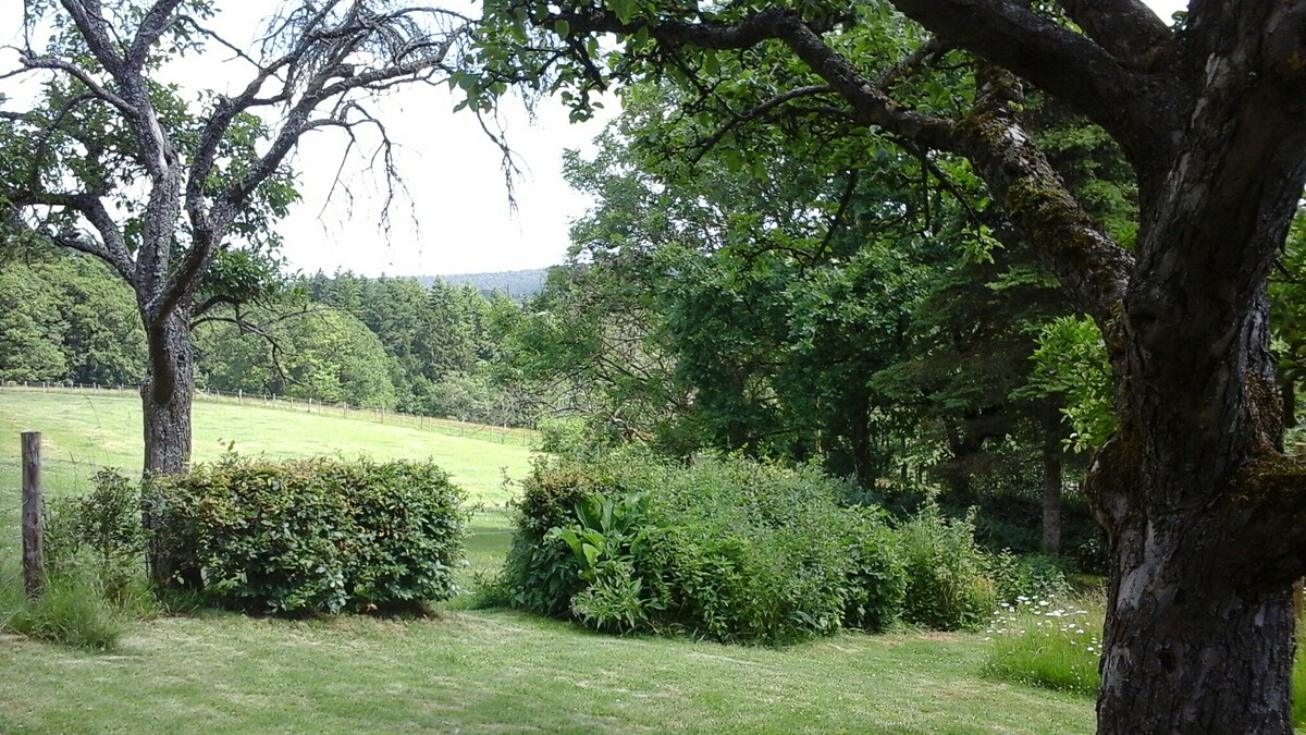 A serene garden scene is captured, featuring lush greenery and well-established trees. The view extends towards open fields and wooded areas in the distance, creating a peaceful natural backdrop, ideal for relaxation and outdoor activities.