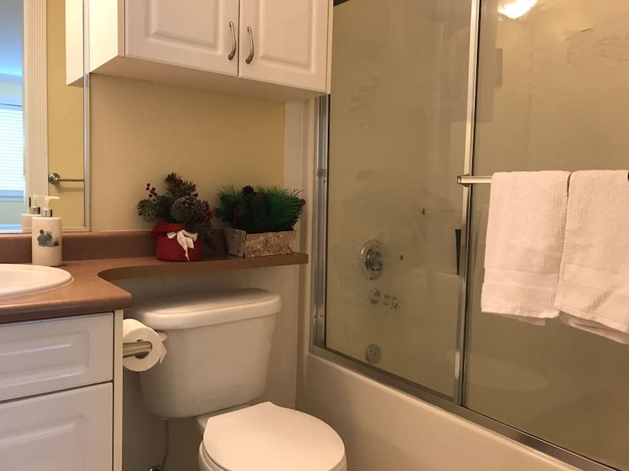 Your clean, private bathroom. Fully equipped with shampoos, soaps, etc.