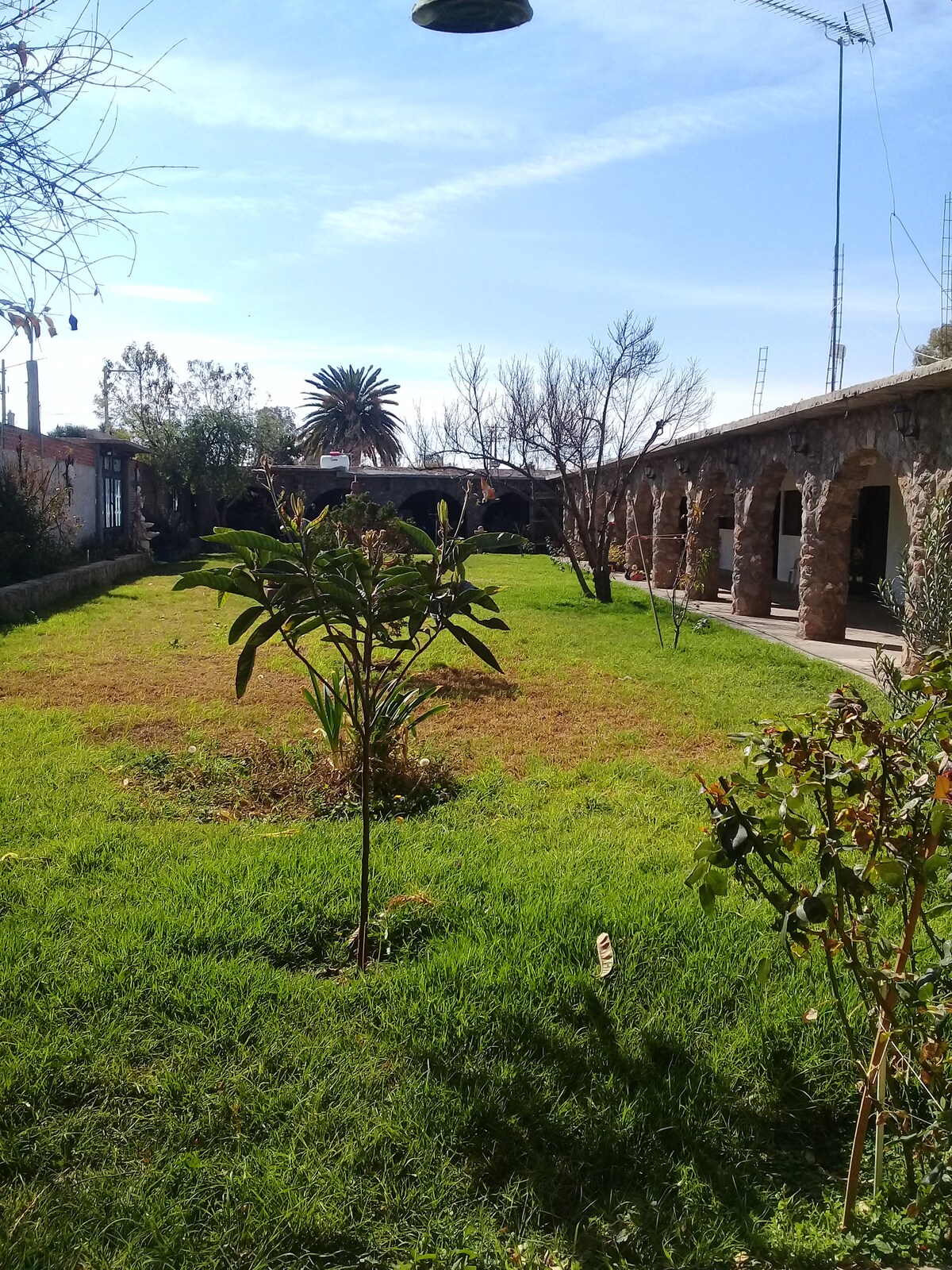 A spacious garden area is presented, featuring lush green grass and a variety of plants. Stone buildings are visible in the background, providing a rustic charm. Clear skies and gentle sunlight add to the serene atmosphere of the outdoor space.