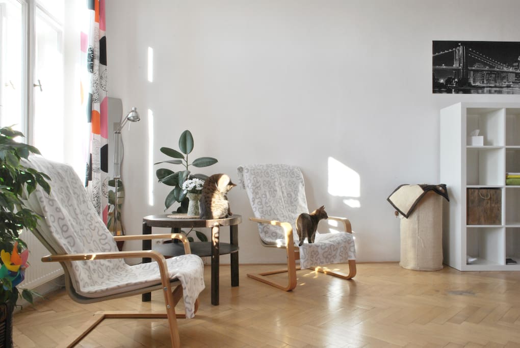 There are two chairs for your comfy stay.