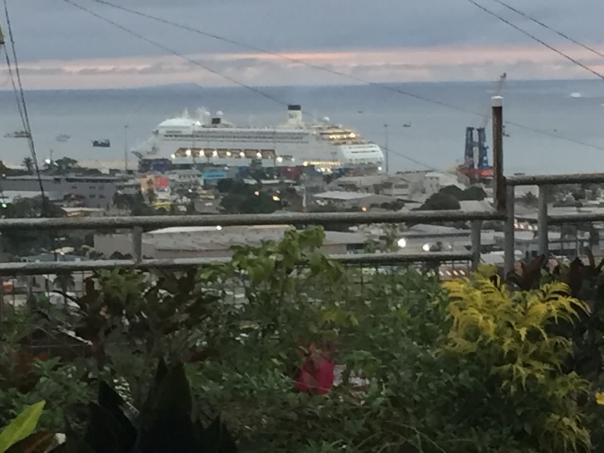 The image captures a view of Suva harbor, showcasing a cruise ship anchored in the distance. A vibrant collection of plants in the foreground adds a touch of greenery, while soft hues of the evening sky are visible, creating a serene backdrop.
