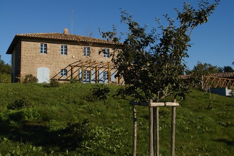 The house in the garden