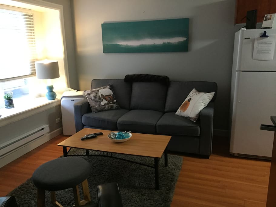 Living Room w/t Fold out couch & Air Conditioning