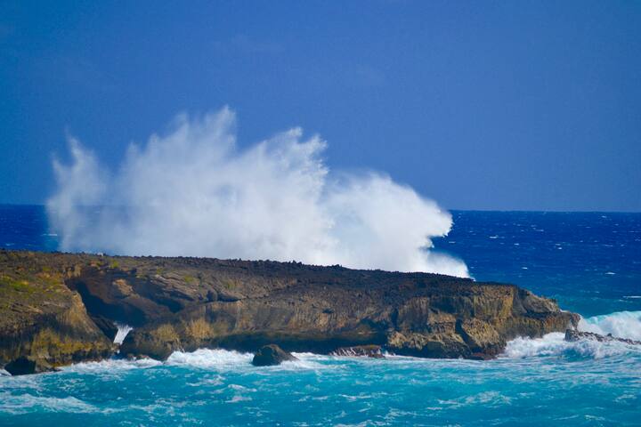 Sea Cliff House 2 – Oceanfront Home – 30-day stays gallery image 3