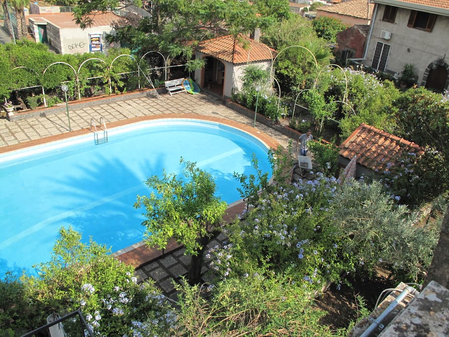 Ampia piscina inserita in un giardino di agrumi: arance, mandarini e pompelmi.