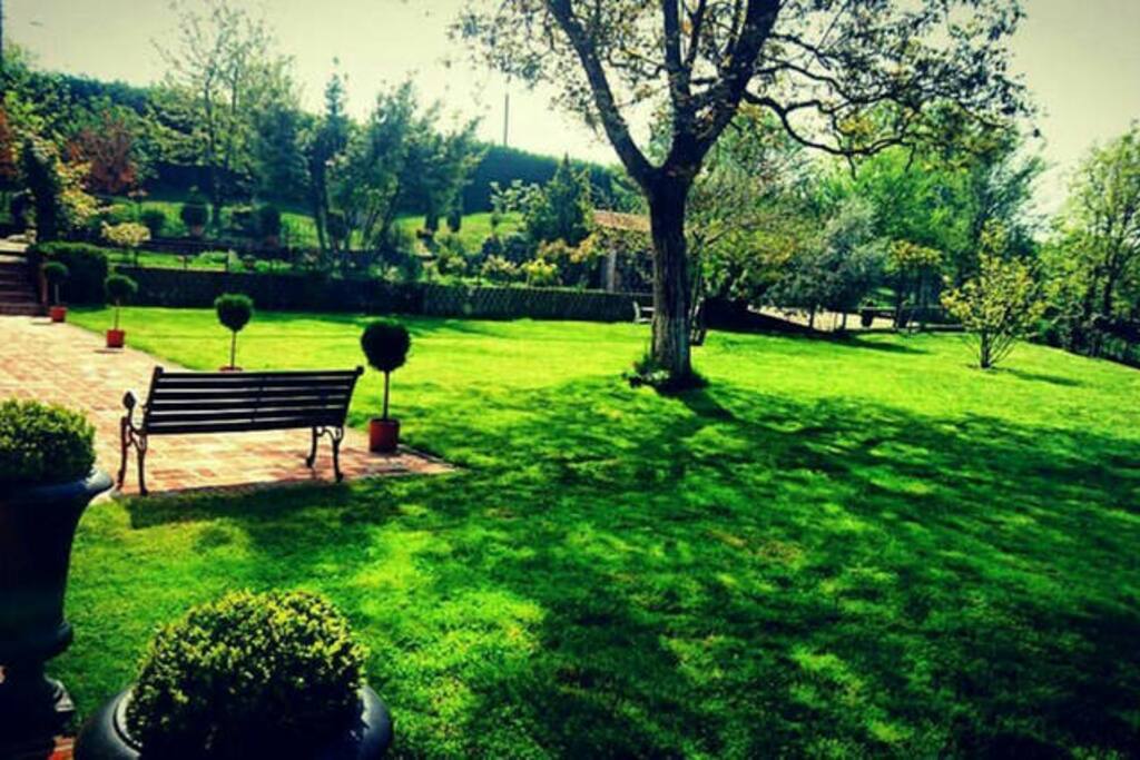 Il giardino esterno