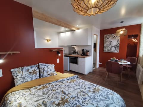 Hyper Centre Salies de Béarn Fully equipped Apartment