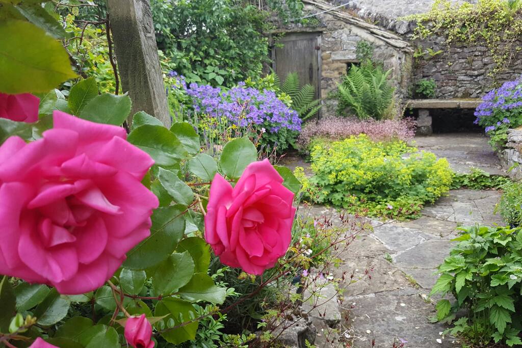 Cottage garden in full bloom