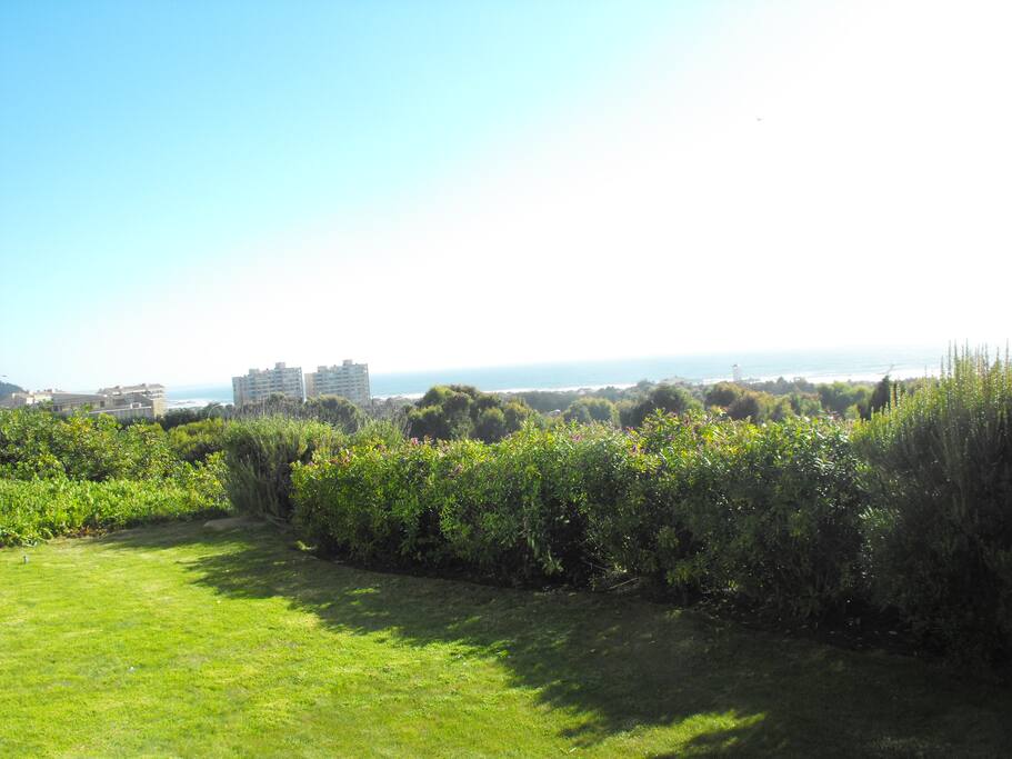 vista despejada