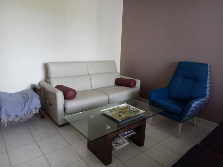 Salon comprenant 1 canapé convertible, un autre canapé 2 places, un fauteuil, table basse