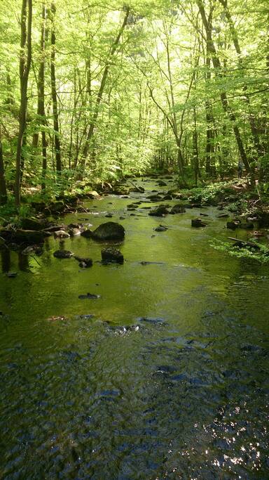 Söderåsen National Park