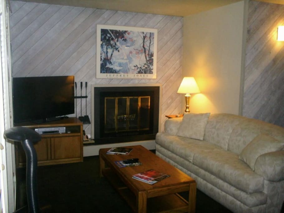 living room with fireplace and TV