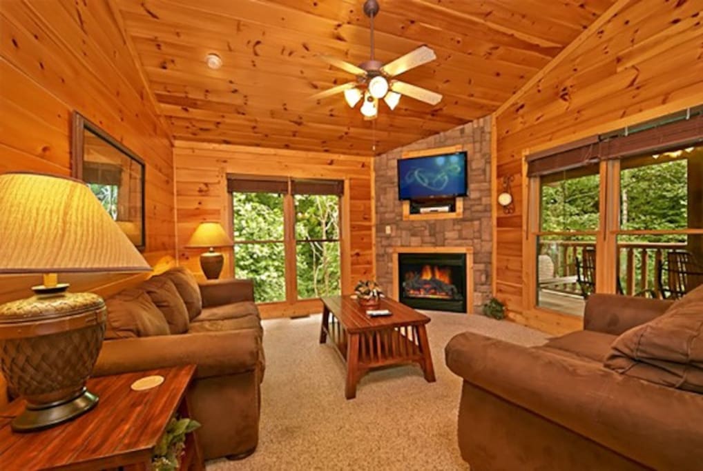 Living room w/ LCD TV, fireplace, internet