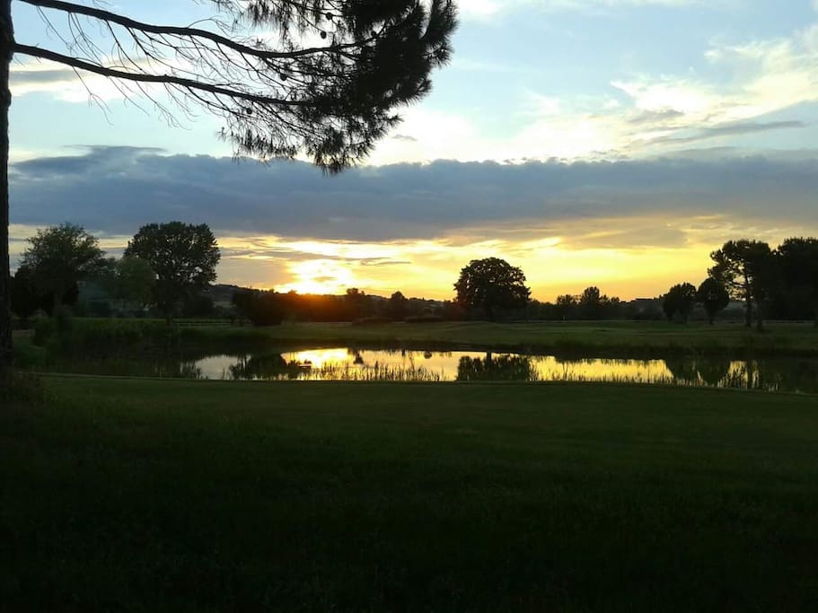 Tenuta Amalia
