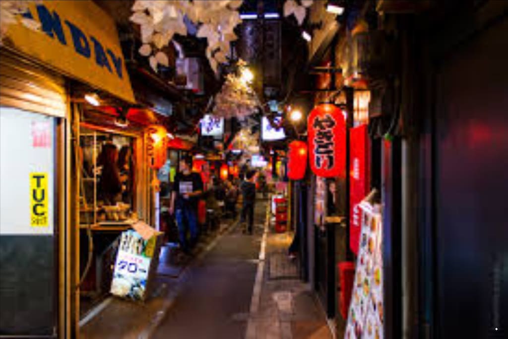 Close to the bright lights of shinjuku, this is shinjuku food alley, again, 15 minute walk from the apartment or 4 minute walk and 4 minutes on the subway.