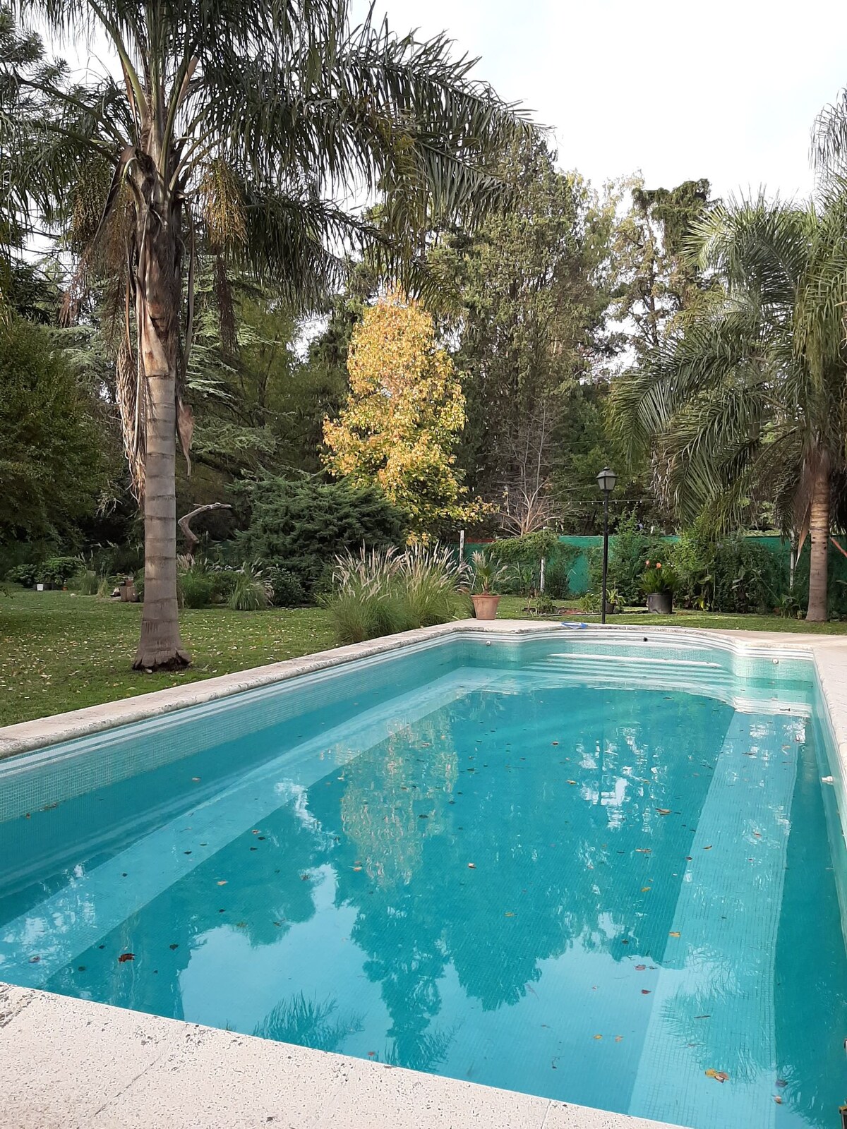A serene swimming pool is surrounded by lush greenery and trees, with reflections of the sky visible in the clear water. Sunlight can be seen filtering through the foliage, creating a tranquil outdoor space that invites relaxation.