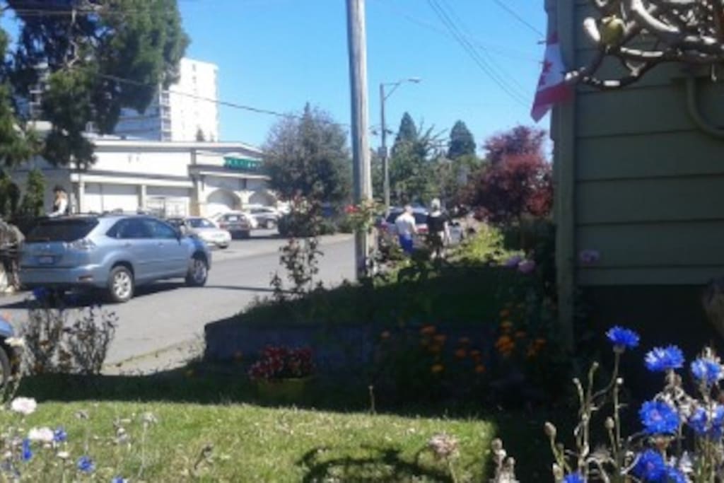 Location Location Five Minutes to Inner Harbour and Five Minutes to Dallas Road Beach. Very quiet considering the grocery store is open 24.7.