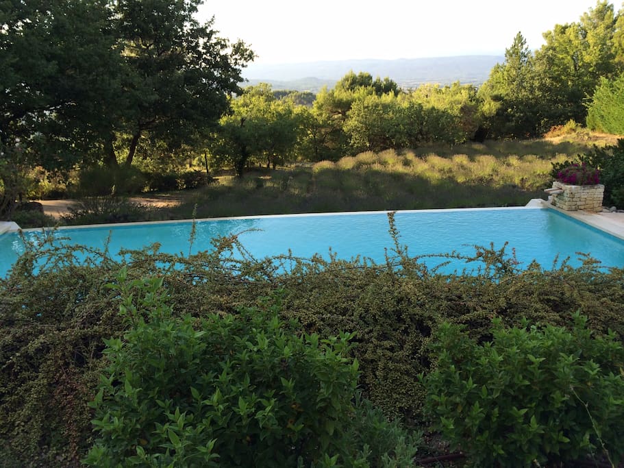 Vue sur le champs de lavandes