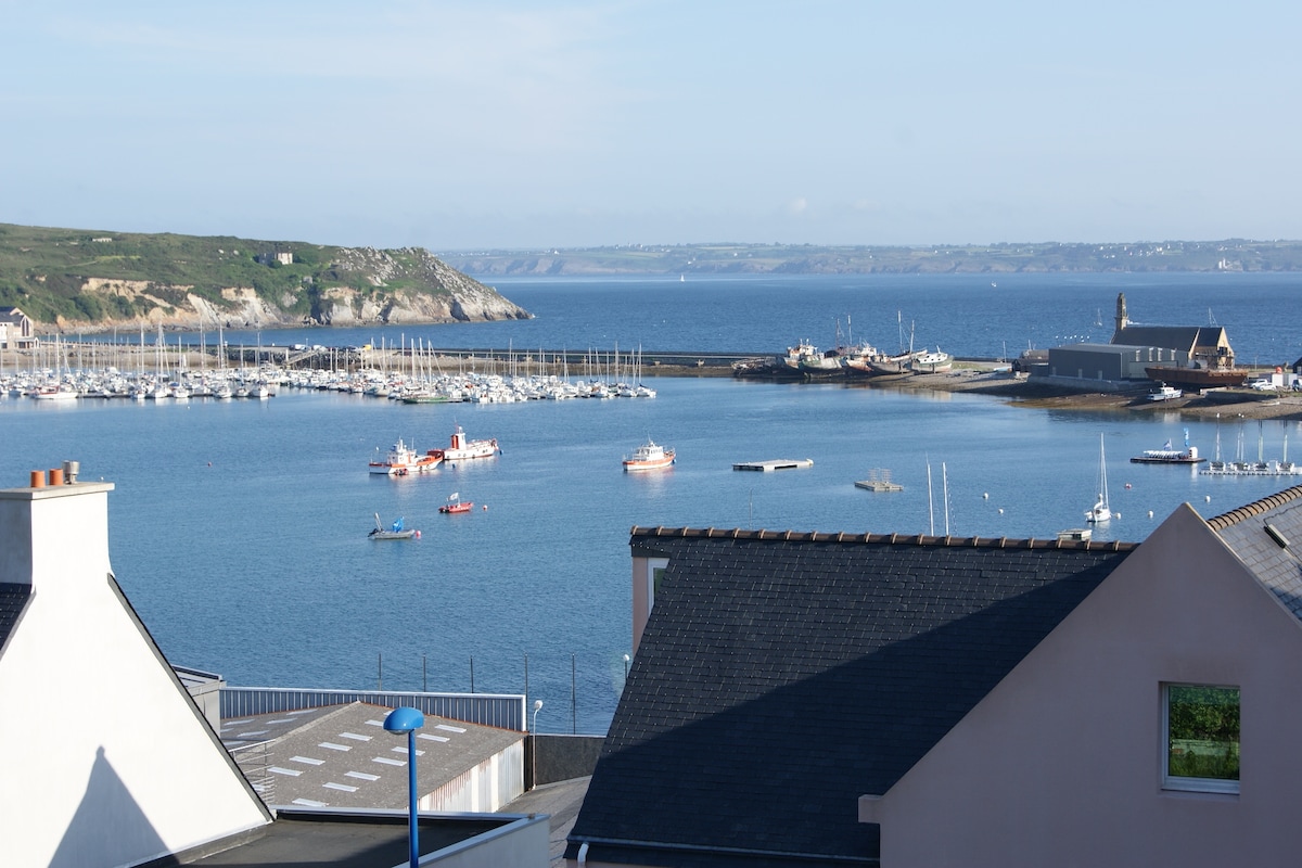 A panoramic view of the serene harbor showcases a variety of boats gently floating on the calm waters. The coastline and distant hills create a backdrop, while clear skies punctuate the scene, suggesting a peaceful environment near the waterfront.