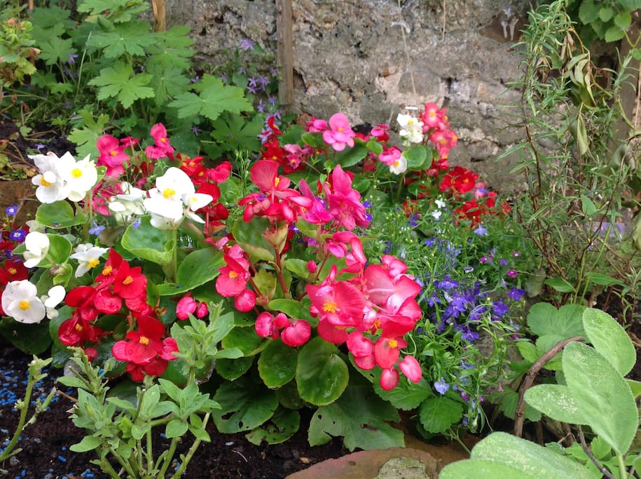 View of my cottagey garden from
Your bedroom