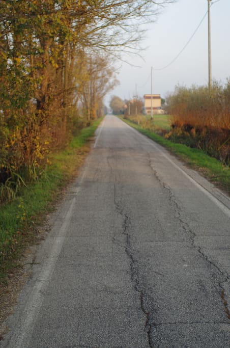 Road to the Center of Crespino