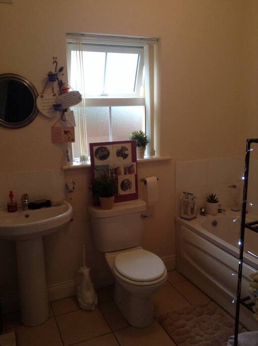 Downstairs toilet/bath
