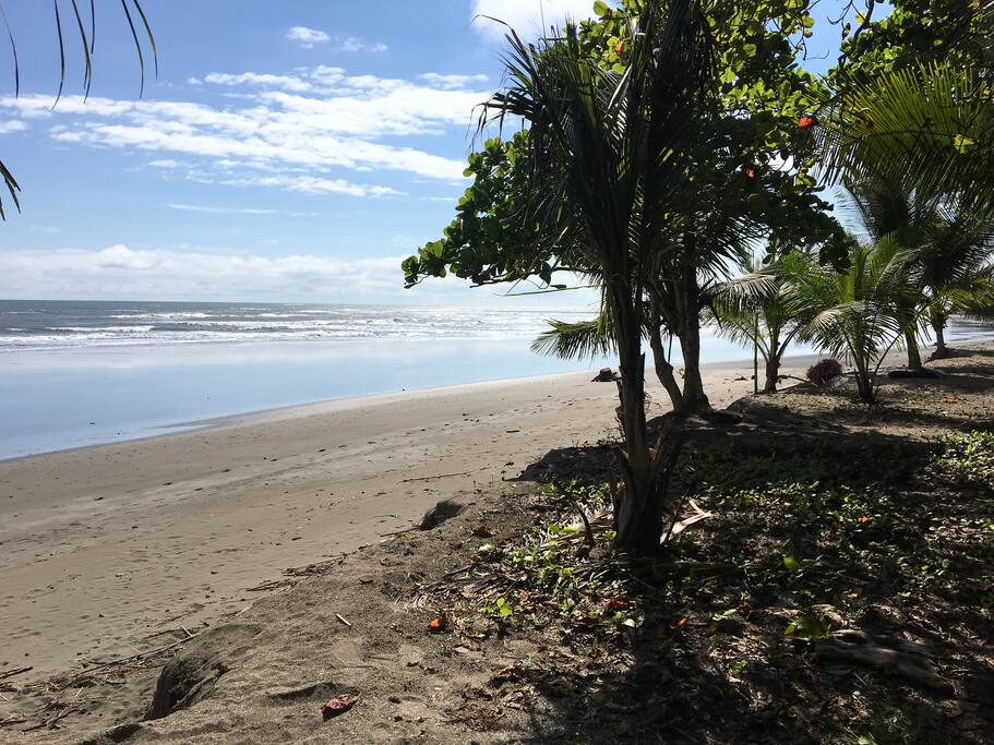 Walk to the beach