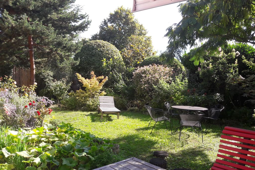 Jardin devant cuisine